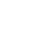 Little Chicken